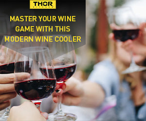 Master Your Wine Game with this Modern Wine Cooler