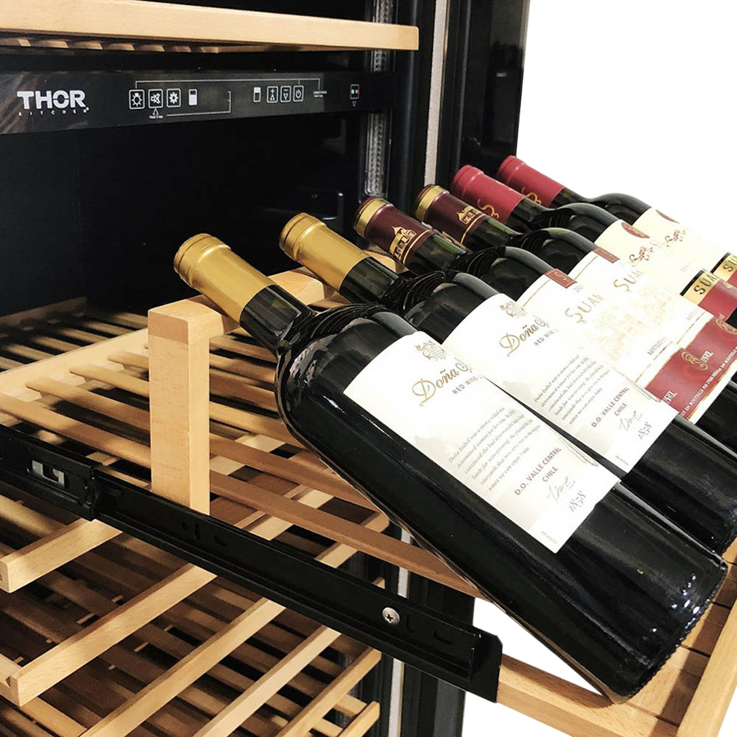 Thor Kitchen 24 Inch Dual Zone Wine Cooler, 162 Wine Bottle Capacity - Model TWC2403DI-R (Renewed)