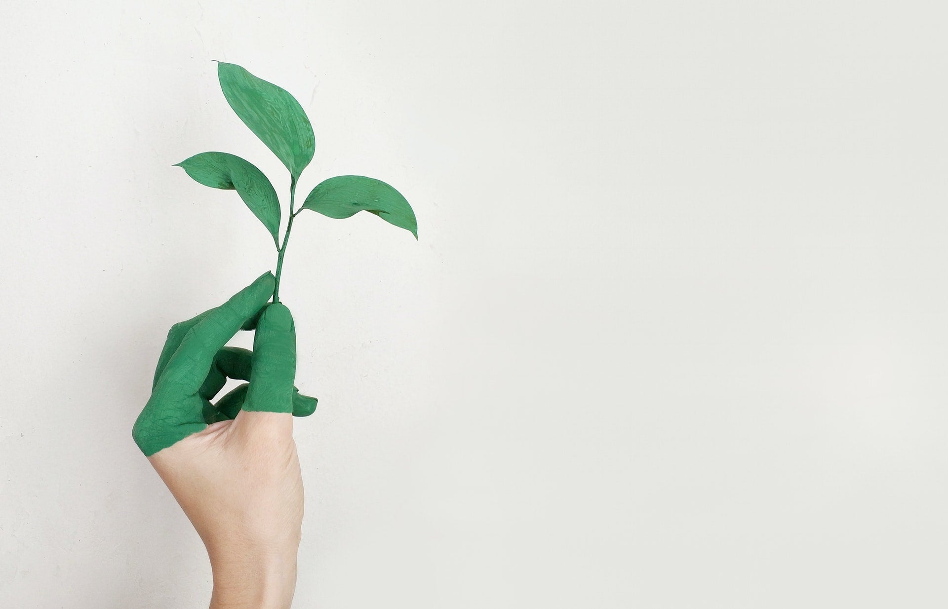 4 Eco Friendly Kitchen Products