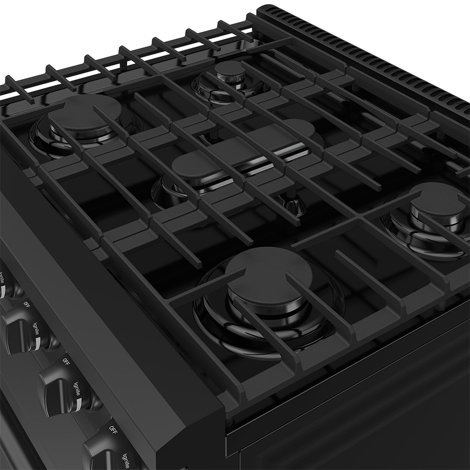 30 Inch Professional Liquid Propane Range in Black