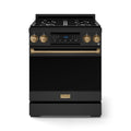 30 Inch Professional Liquid Propane with Precision Knob Control in Black/Bronze