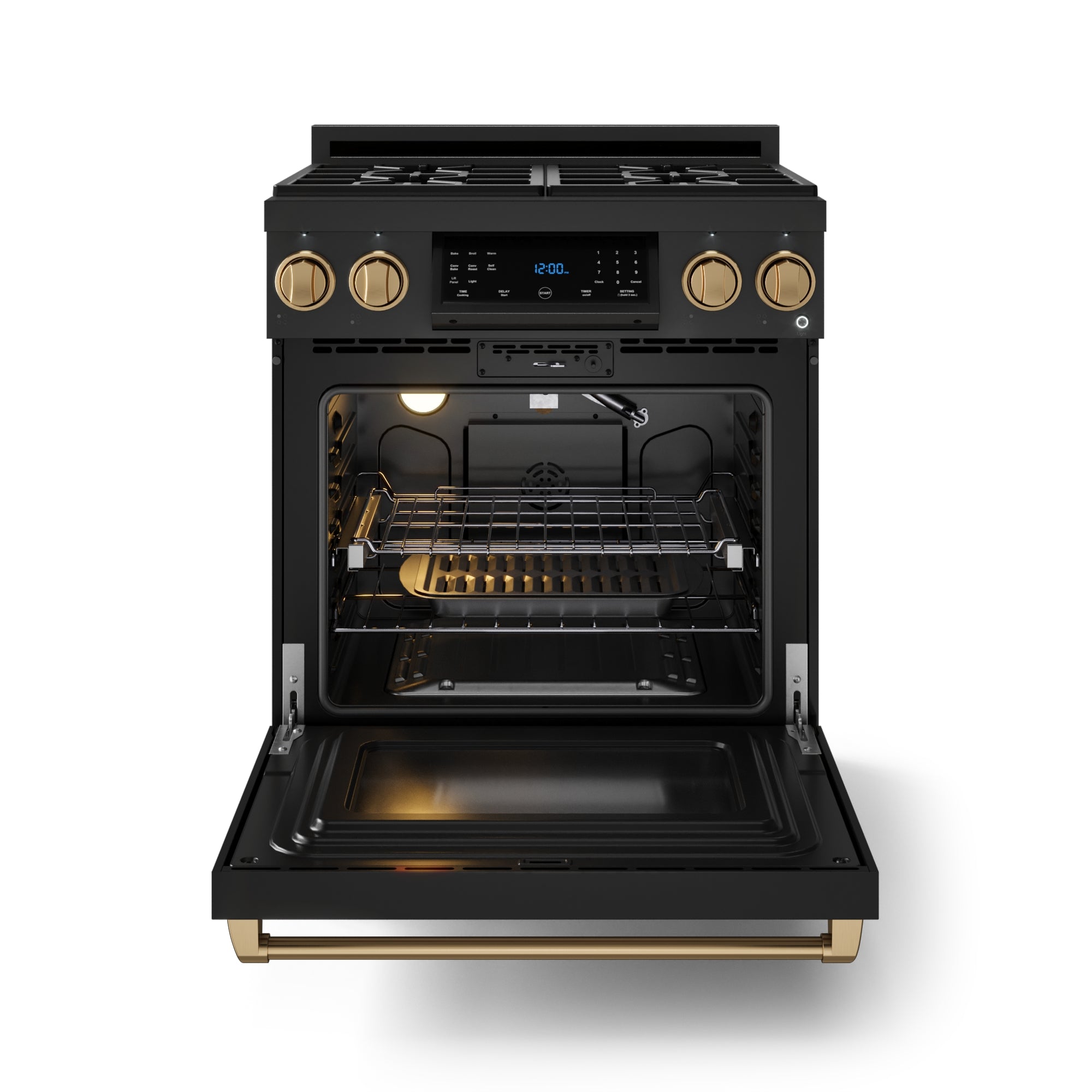 30 Inch Professional Liquid Propane with Precision Knob Control in Black/Bronze