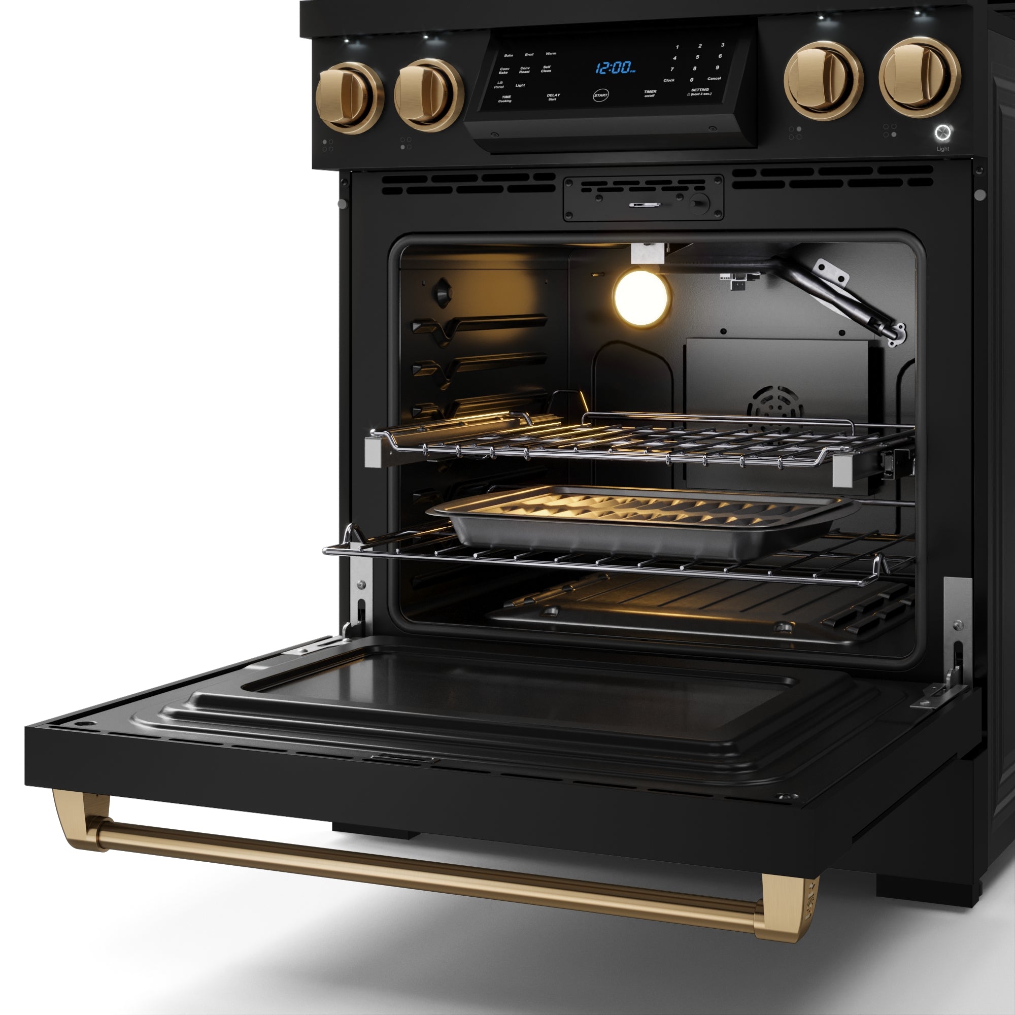 30 Inch Professional Liquid Propane with Precision Knob Control in Black/Bronze