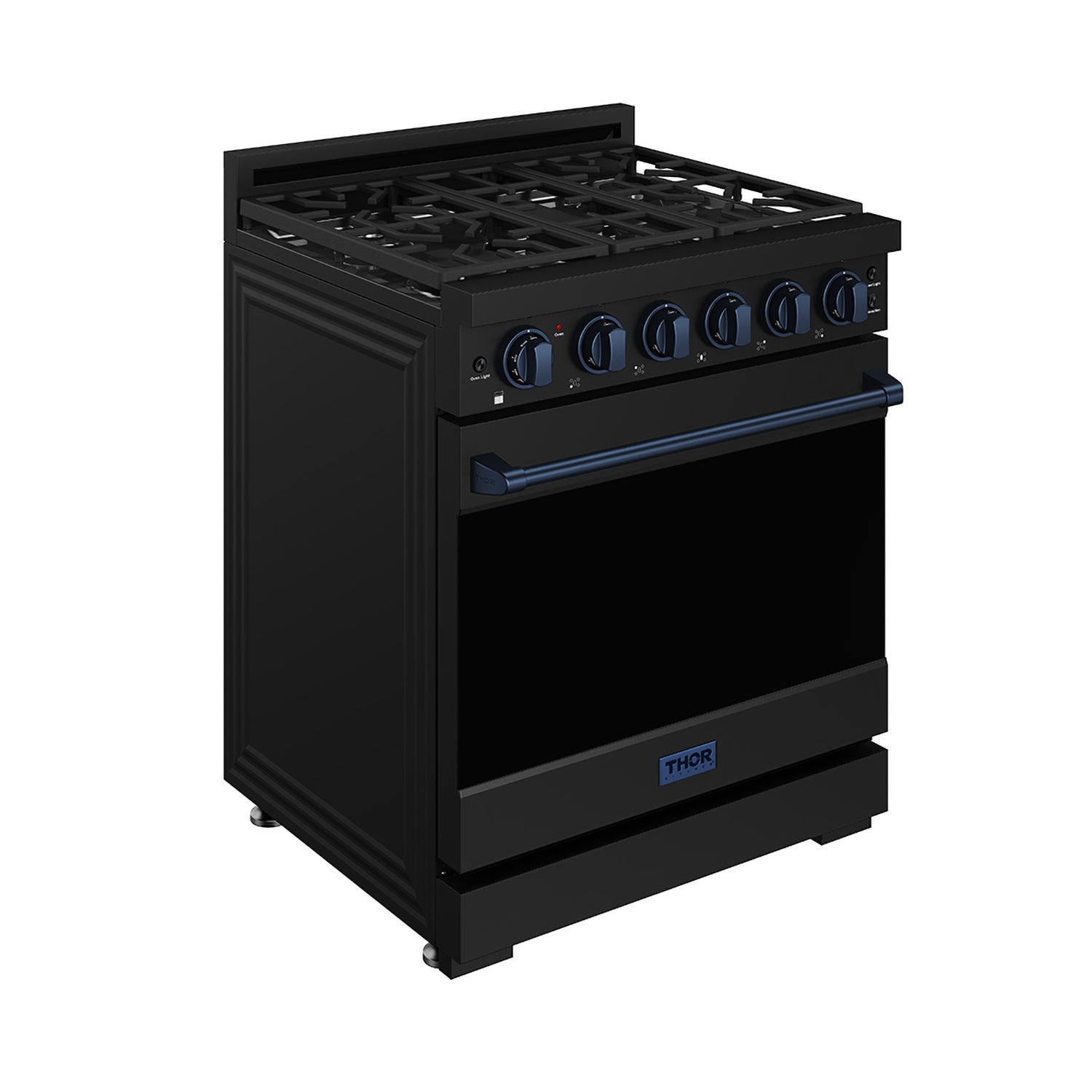 30 Inch Professional Liquid Propane with Precision Knob Control in Black/Blue