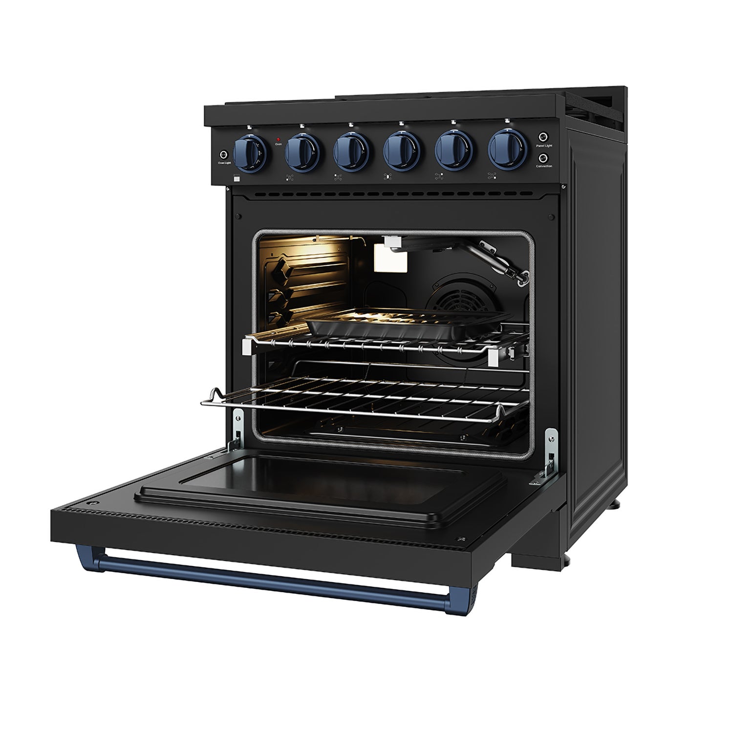 30 Inch Professional Liquid Propane with Precision Knob Control in Black/Blue