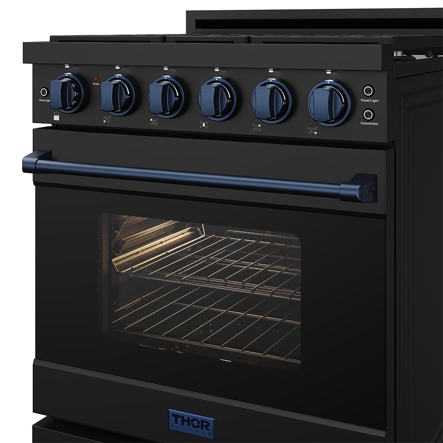 30 Inch Professional Liquid Propane with Precision Knob Control in Black/Blue