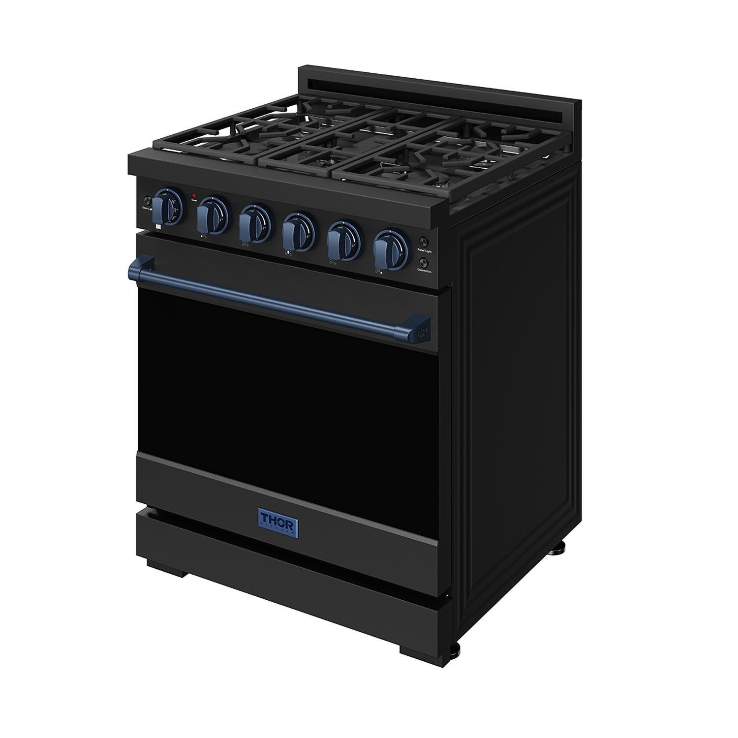 30 Inch Professional Liquid Propane with Precision Knob Control in Black/Blue