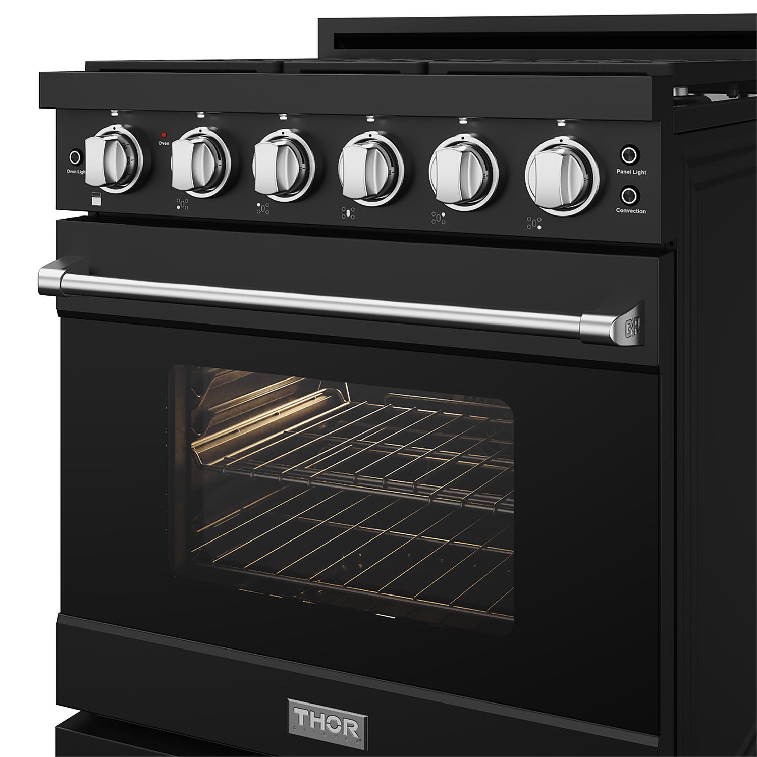 30 Inch Professional Liquid Propane with Precision Knob Control in Black/Stainless Steel