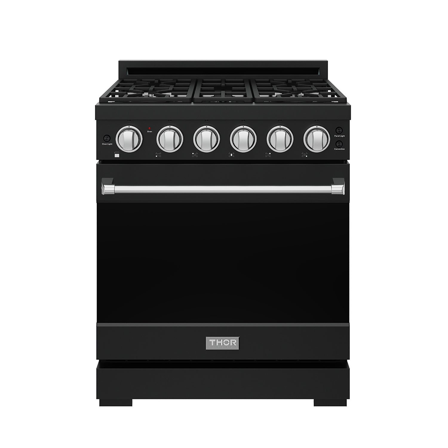 30 Inch Professional Gas with Precision Knob Control in Black/Stainless Steel