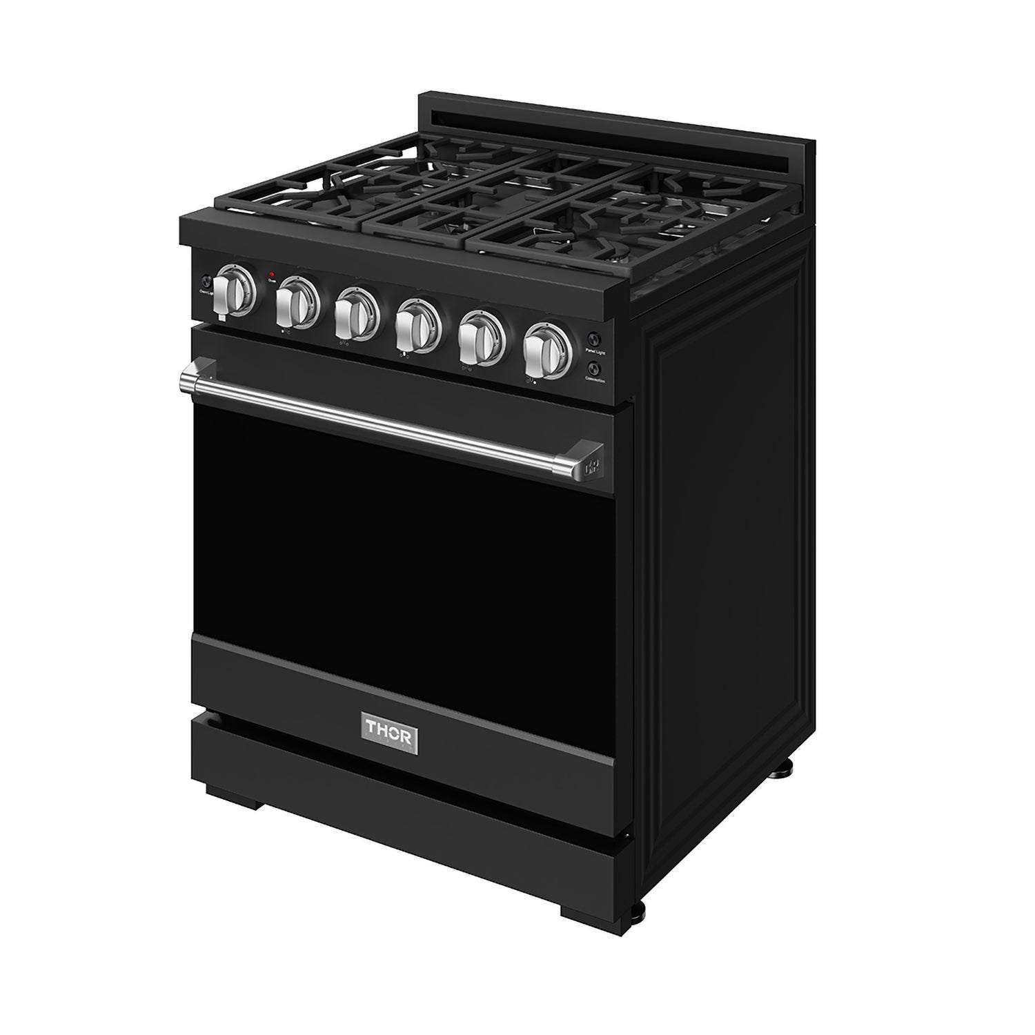 30 Inch Professional Liquid Propane with Precision Knob Control in Black/Stainless Steel