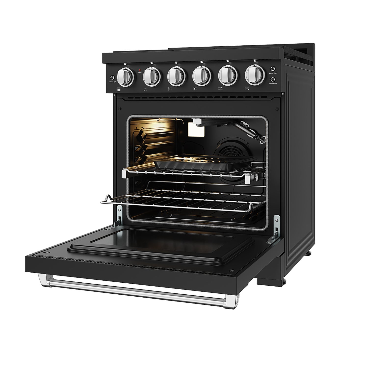 30 Inch Professional Liquid Propane with Precision Knob Control in Black/Stainless Steel