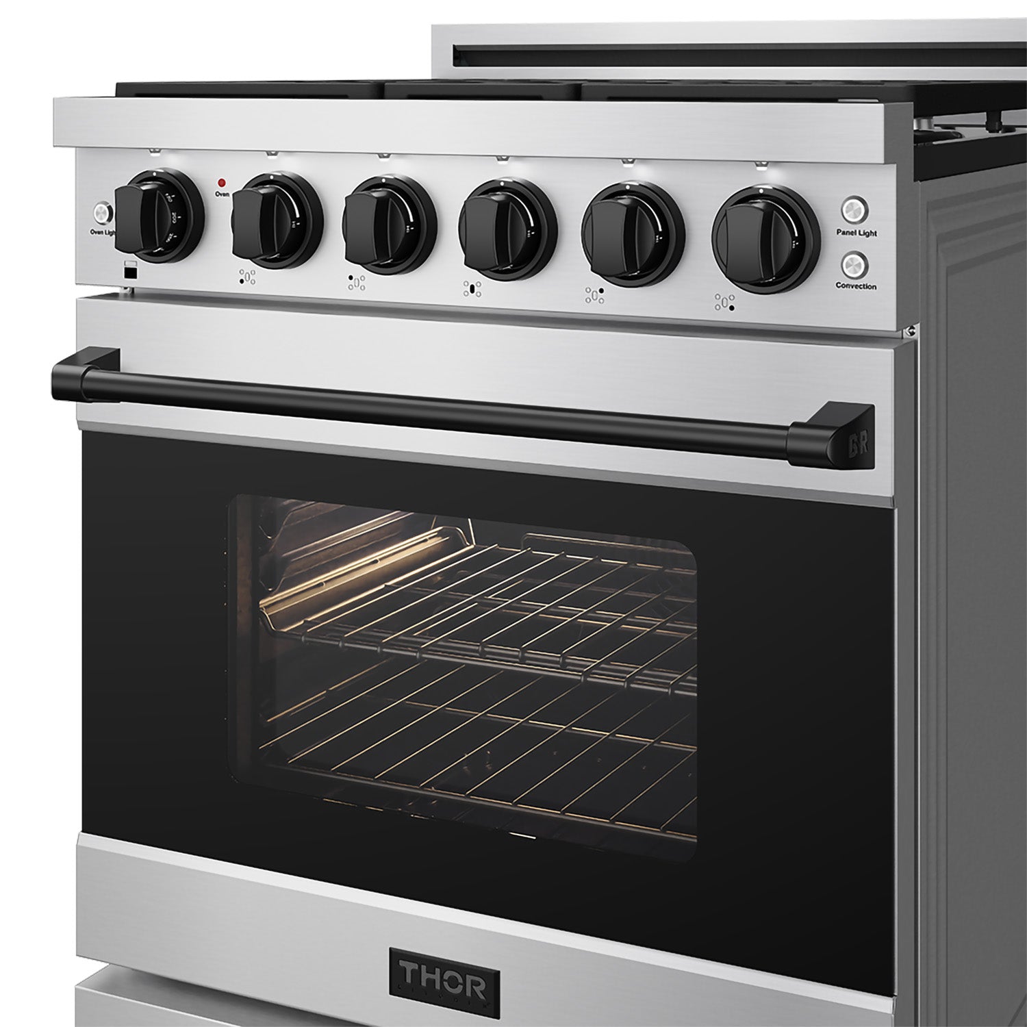 30 Inch Professional Gas with Precision Knob Control in Stainless Steel/Black