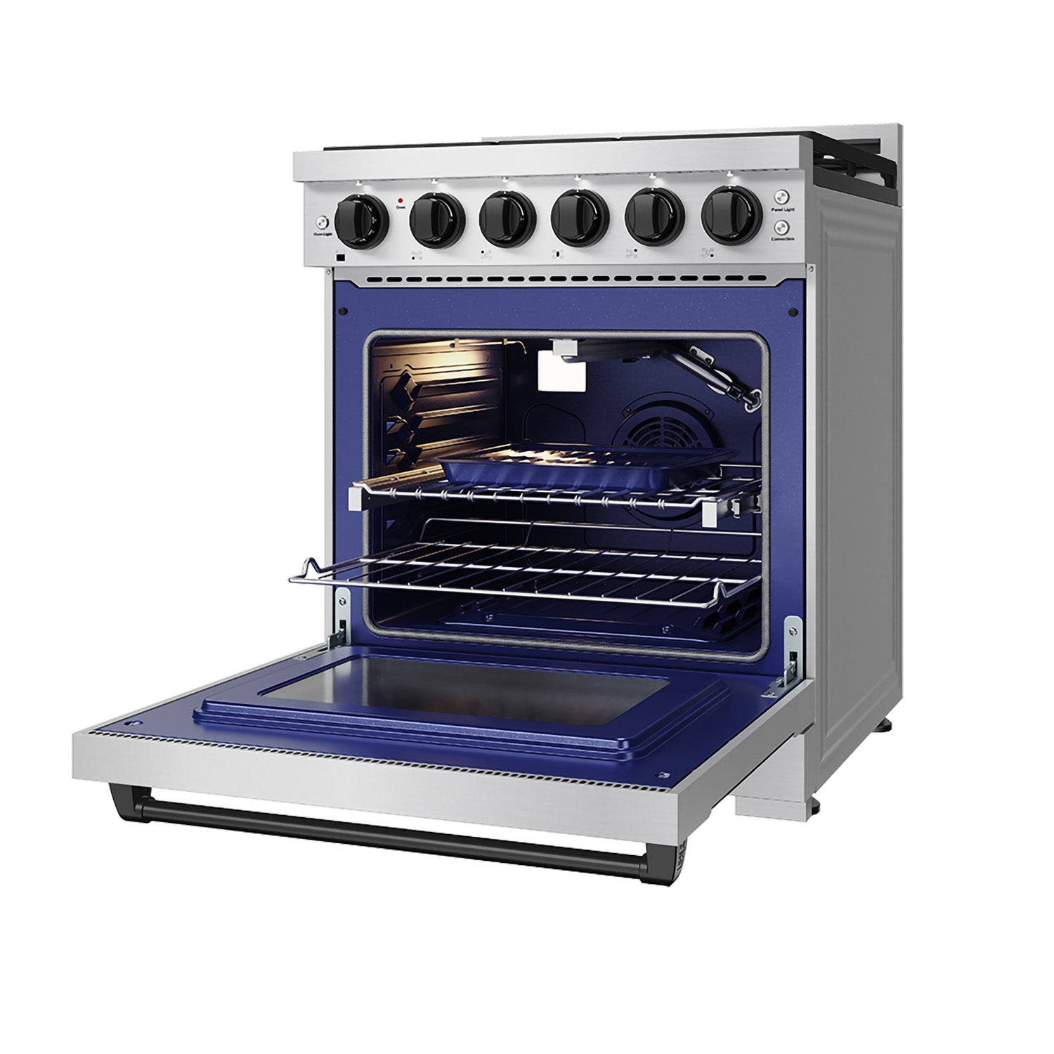 30 Inch Professional Gas with Precision Knob Control in Stainless Steel/Black