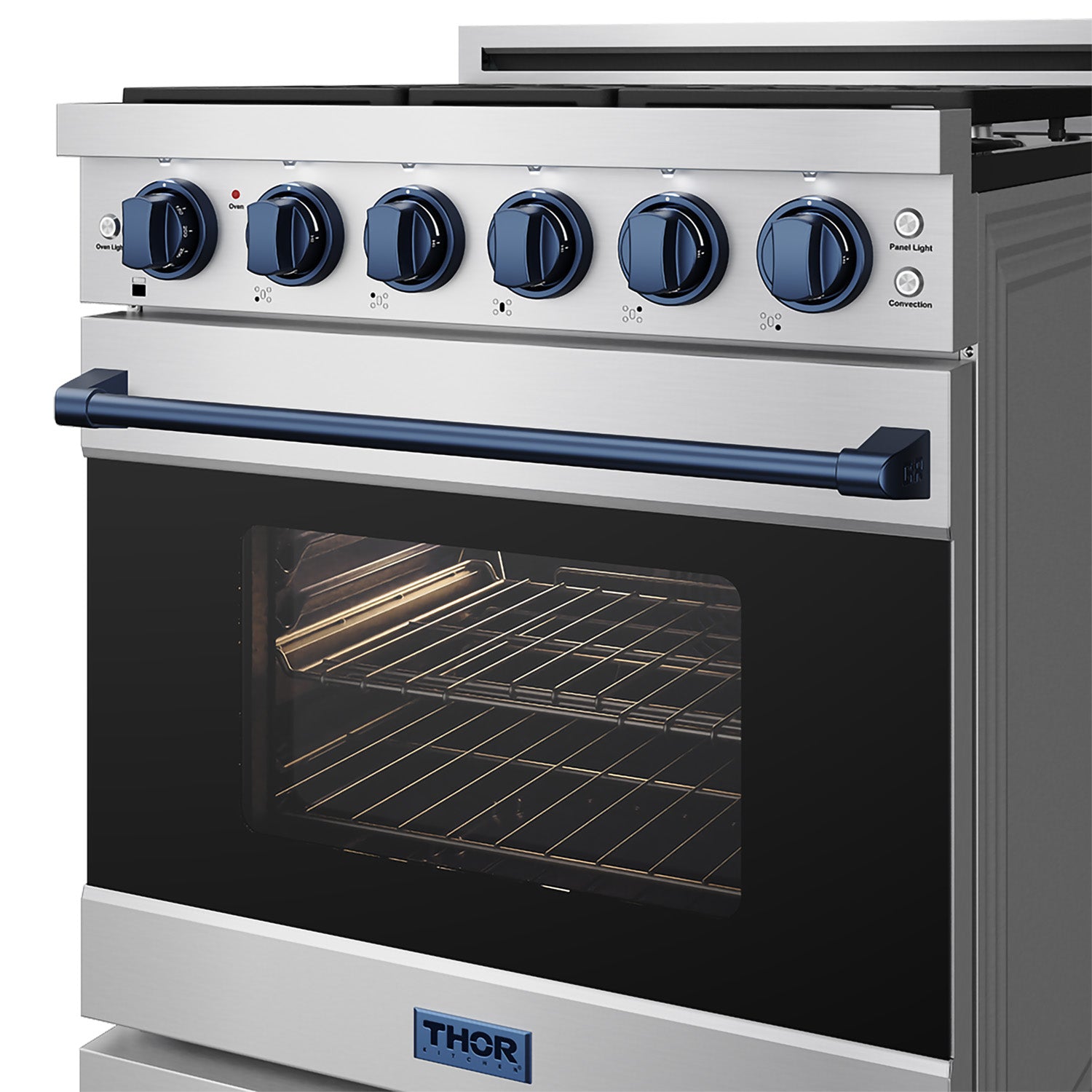 30 Inch Professional Liquid Propane with Precision Knob Control in Stainless Steel/Blue