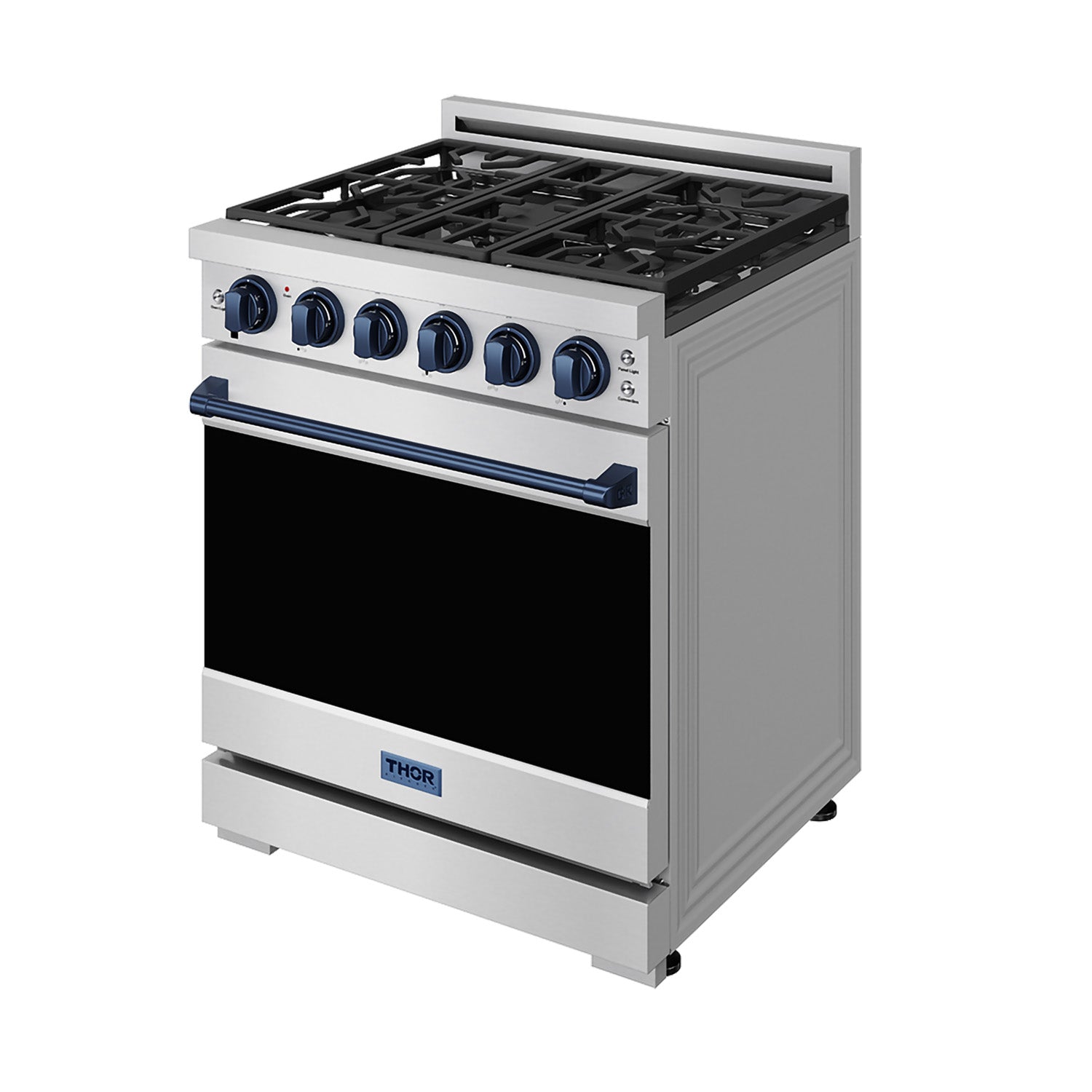 30 Inch Professional Liquid Propane with Precision Knob Control in Stainless Steel/Blue